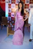 Amrita Rao, Mallaika at the launch of Perfect Bride 19