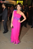 Amrita Rao, Minissha Lamba, Claudia at Filmfare red carpet set - inditop.com 7