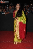 Amrita Rao, Vidya Balan at Star Screen Awards red carpet - inditop.com 