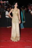 Amrita Rao, Vidya Balan at Star Screen Awards red carpet - inditop.com 5