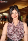 Ayesha Takia & Shahid at Pathshala film promotion - inditop.com 11