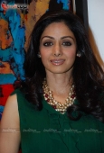 Beautiful Sridevi and Boney Kapoor at art event - inditop.com 8