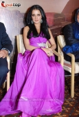 Bollywood Actress Celina Jaitley at Egypt tourism event - inditop.com 16