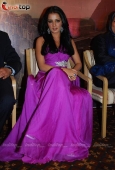 Bollywood Actress Celina Jaitley at Egypt tourism event - inditop.com 17