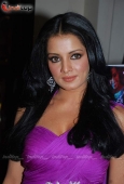 Bollywood Actress Celina Jaitley at Egypt tourism event - inditop.com 5