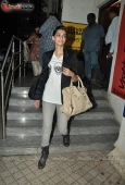 Celina Jaitley, Sonam Kapoor, Amisha Patel, Vivek at I Hate Luv Story special screening - inditop.com11