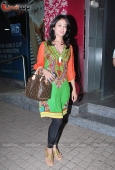 Celina Jaitley, Sonam Kapoor, Amisha Patel, Vivek at I Hate Luv Story special screening - inditop.com16