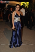 Celina, Genelia, Dia Mirza at Filmfare red carpet set - inditop.com 15