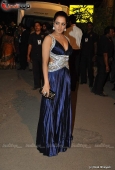 Celina, Genelia, Dia Mirza at Filmfare red carpet set - inditop.com 16