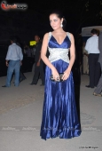 Celina, Genelia, Dia Mirza at Filmfare red carpet set - inditop.com 23