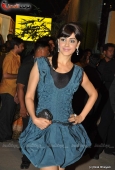 Celina, Genelia, Dia Mirza at Filmfare red carpet set - inditop.com 6