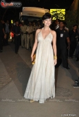 Celina, Genelia, Dia Mirza at Filmfare red carpet set - inditop.com 9