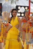 Deepika Padukone Wallpapers from film Love Fever 11