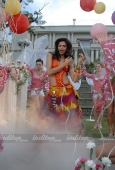 Deepika Padukone Wallpapers from film Love Fever 6