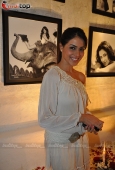 Genelia, Preeti Jhangiani, Divya Dutta at Daboo Ratnani Calender Launch at Olive - inditop.com 5