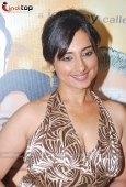 Hot Divya Dutta at Morning walk film press meet 1