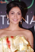 Isha Koppikar at launch of India International Face 2010 - inditop.com5