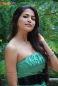 Parvati Omakuttan enters Bolywood with film United Six 5