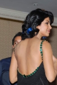 Priyanka Chopra Looking princess at Alert India and Instiuti Callegari chartity dinner 18