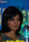 Priyanka Chopra at Harmony Week organised by Mohalla Commitee and Mumbai Police - inditop.com  11