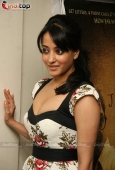 Raima Sen at the launch of The Japanese wife DVD launch - inditop.com10