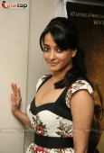 Raima Sen at the launch of The Japanese wife DVD launch - inditop.com9