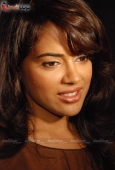 Sameera Reddy at Red Alert film press meet 8