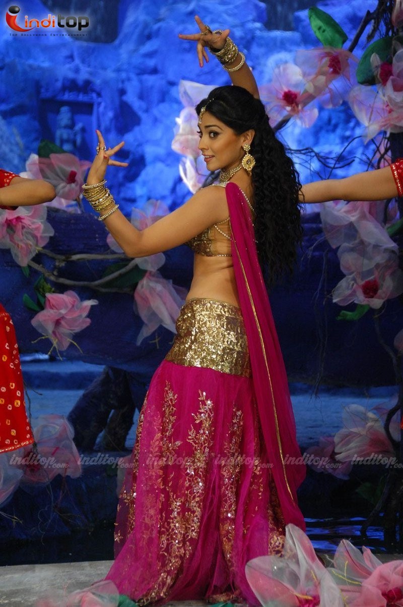 Shriya%20saran%20Stills%20from%20Don%20S