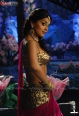 Shriya saran Stills from Don Seenu Movie - inditop.com