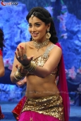 Shriya saran Stills from Don Seenu Movie - inditop.com3