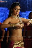 Shriya saran Stills from Don Seenu Movie - inditop.com4