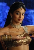 Shriya saran Stills from Don Seenu Movie - inditop.com5