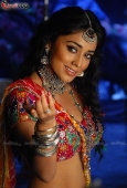 Shriya saran Stills from Don Seenu Movie - inditop.com6