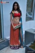 Super Hot Models at Meera Mahdevia bridal collection launch at Chammomile 8