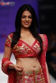 Anjana Sukhani walks for Abhi Rahul at LFW day 5 - inditop.com6