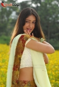 Telugu Movie actress Ileana Stills - inditop.com1