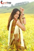 Telugu Movie actress Ileana Stills - inditop.com13