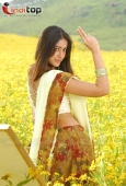 Telugu Movie actress Ileana Stills - inditop.com14