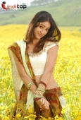 Telugu Movie actress Ileana Stills - inditop.com16