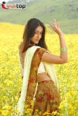 Telugu Movie actress Ileana Stills - inditop.com17