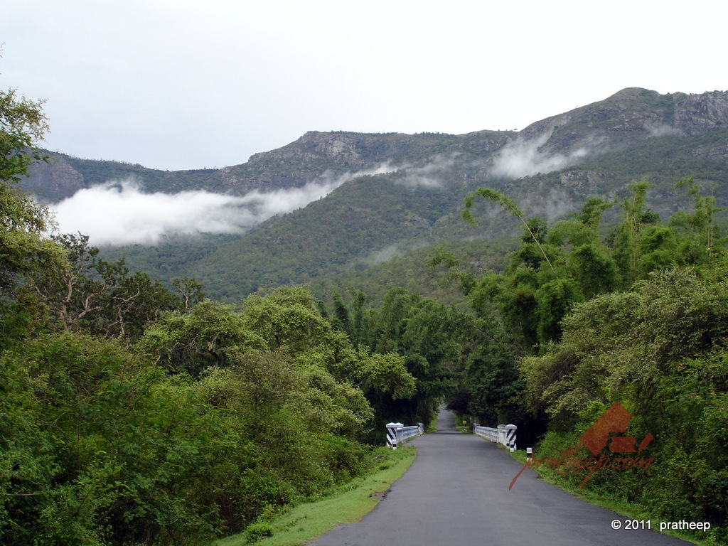 masinagudi-ooty-rad