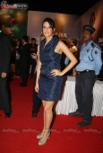 Deepika, Ria, Neha, Dia, Koina, Sophie & Lots More at Sahara Sports Awards 29