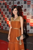 Dia Mirza and Shruti Haasan at Filmfare Nominations red carpet - inditop.com 10