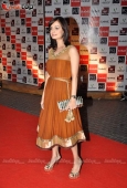 Dia Mirza and Shruti Haasan at Filmfare Nominations red carpet - inditop.com 11