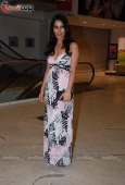 Dia Mirza, Aarti Chhabria, Sophie & Lots More at Acid Factory film premiere 11