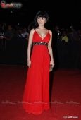 Dia Mirza, Koina Mitra, Minissha Lamba and Lots More Celebs at Star Screen Awards red carpet - inditop.com 1