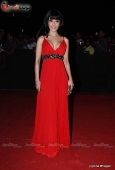 Dia Mirza, Koina Mitra, Minissha Lamba and Lots More Celebs at Star Screen Awards red carpet - inditop.com 3