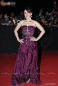 Dia Mirza, Koina Mitra, Minissha Lamba and Lots More Celebs at Star Screen Awards red carpet - inditop.com 4