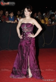 Dia Mirza, Koina Mitra, Minissha Lamba and Lots More Celebs at Star Screen Awards red carpet - inditop.com 5