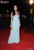 Dia Mirza, Koina Mitra, Minissha Lamba and Lots More Celebs at Star Screen Awards red carpet - inditop.com 7